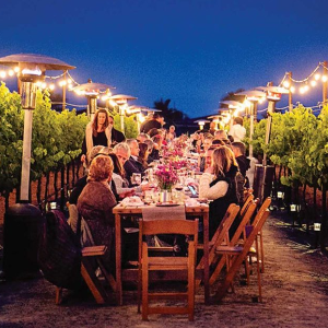 TOUR VINOS VALLE DE GUADALUPE