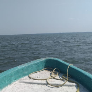 MANDINGA Y VERACRUZ CON SABOR JAROCHO