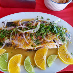 GASTRONOMÍA VERACRUZANA EN BOCA