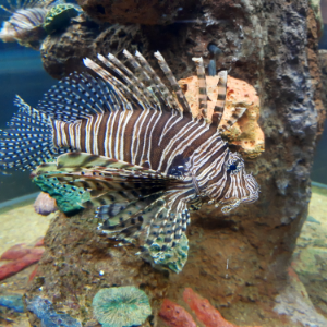 MÁS DE 500 AÑOS DE HISTORIA