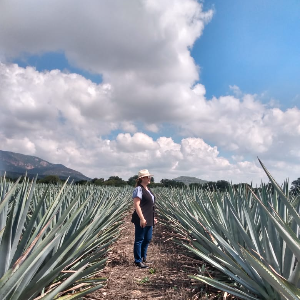 EL TEQUILA A 360°