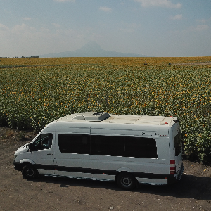 CAMPOS DE LOS GIRASOLES SPRINTER