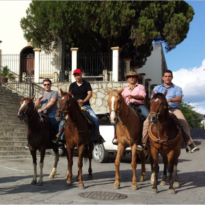 TOUR EN CABALLO