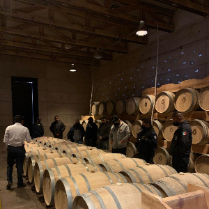 CONOCIENDO VIÑEDOS EN DOLORES
