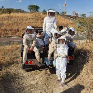 SANTUARIO DE LAS ABEJAS